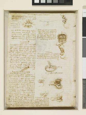 Leonardo da Vinci, anatomical sketches of smile, wikicommons, paintphotographs